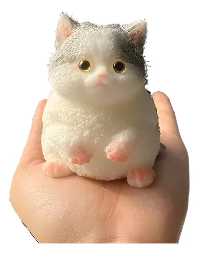 Taba Squishy Caja de regalo de pata de gato, juguete esponjoso para apretar con forma de pata de gato, hecho a mano, juguete sensorial de piel elástica para niños y adolescentes Taba Squishy Caja de regalo de pata de gato, juguete esponjoso para apretar con forma de pata de gato, hecho a mano, juguete sensorial de piel elástica para niños y adolescentes