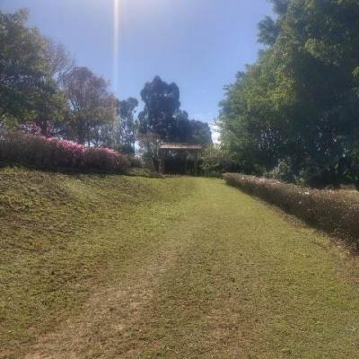 Imagem 8 de 14 de Chácara 400m2 Área Construída