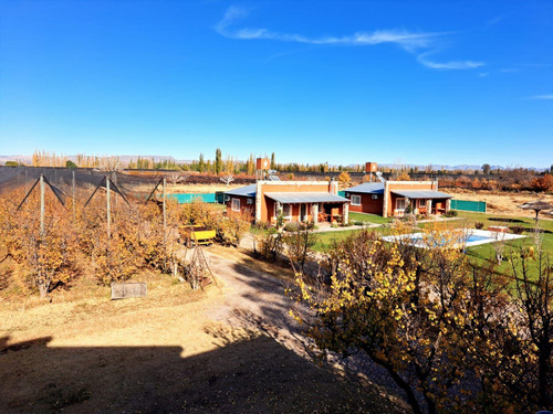 Bodega En Venta - 9 Dormitorios 4 Baños - Cocheras - 85.039mts2 - San Rafael, Mendoza