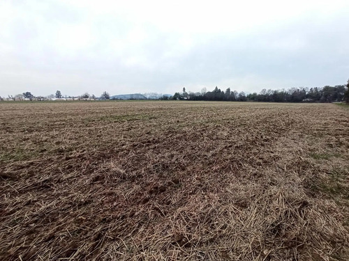 Terreno Agrícola En Venta, Campo De 21 Ha, San Clemente