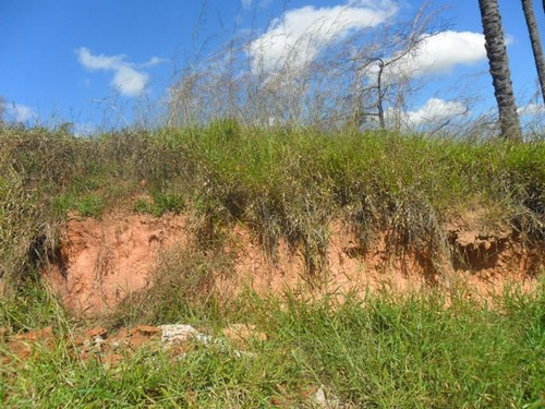 Lote Para Comprar No Vale Das Orquídeas Em Contagem/mg - 15423