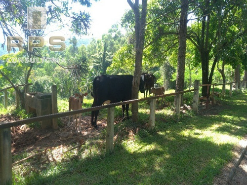 Imagem 23 de 30 de Área Espetacular Em Região Com Muito Verde, Atibaia-sp - Ar00044 - 33622538