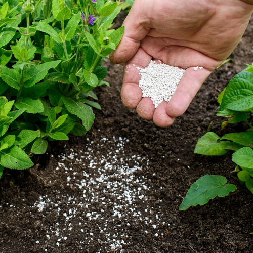 Imagen 6 de 9 de Sulfato De Hierro X 1 Kg Fertilizante Grhesa