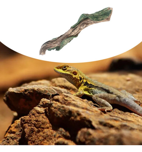 Rama De Escalada De Terrario Reptile Ejuicio 20x4.5x4cm