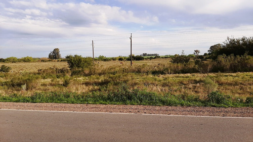 Imagen 6 de 7 de Campo 4 Hectareas Con Arroyo Sobre Ruta 12 En Tala