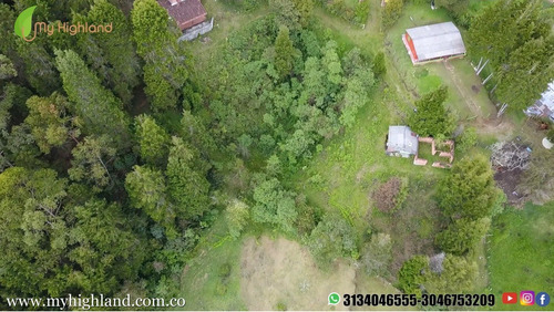 Imagen 4 de 14 de En Venta Lote Guarne Vereda La Brizuela 6.500m²