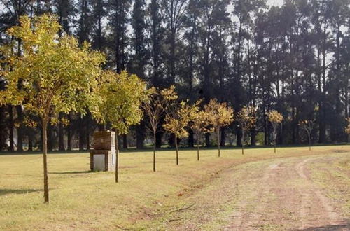 Imagen 7 de 19 de Lote En Venta En Club De Campo La Asunción - Vende O Vende