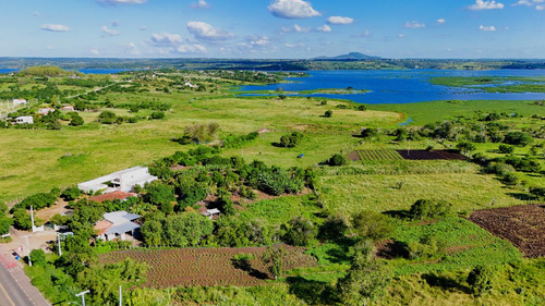 Fazenda Em Santo Estevão Bahia ( Arrendamento Ou Aluguel)