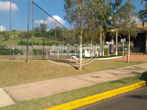Imagem 6 de 17 de Terreno No Condomínio Reserva Das Paineiras. (código Te00388) - Te00388 - 70620611