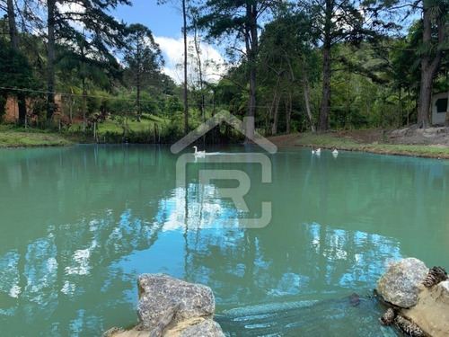 Imagem 10 de 30 de Lindo E Luxuoso Sítio - 79 - 68959884