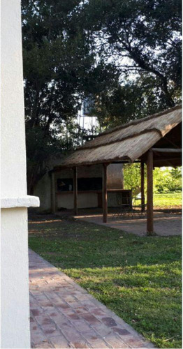 Campo De 30 Hectáreas En Pergamino