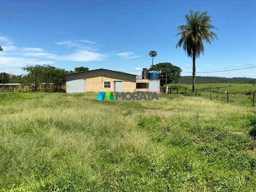 Imagem 12 de 15 de Fazenda - Zona Rural - Ref: 5332 - V-mta5332