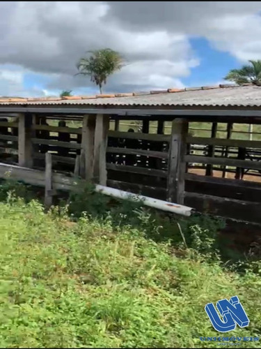 Imagem 2 de 14 de Fazenda Com 2.500 Tarefas Em Jiquiriça - Bahia - Afd061 - 70714272