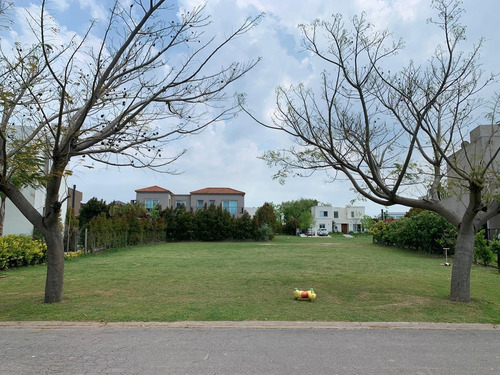 Imagen 1 de 5 de Lote Interno En Barbarita, Muy Bueno
