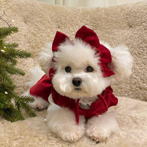 Vestido De Princesa De Navidad Para Cachorros, Conjunto De M