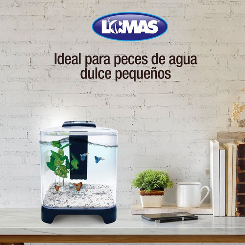Imagen 5 de 10 de Acuario Mini De 6 Litros Pecera Betta