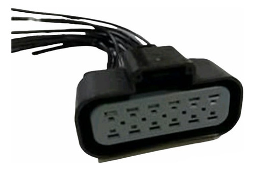 Conector 12 Pines Módulo Computadora Freightliner Ecc M2 B4