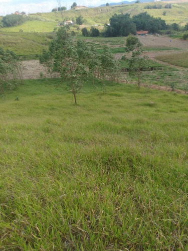 Imagem 6 de 14 de A28 -lotes Para Construção De Chácaras