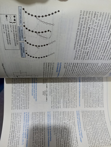 Bioquímica De Harper Edición 14 (Usado)