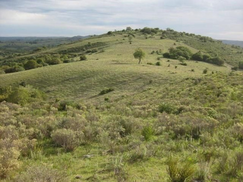 Campo En Venta