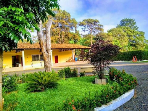 Imagem 6 de 18 de Chácara À Venda, 5000 M² Por R$ 1.800.000,00 - Recreio Internacional - Ribeirão Preto/sp - Ch0084