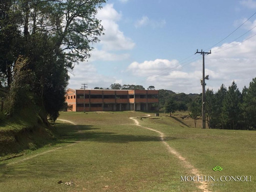 Imagem 2 de 9 de Terreno À Venda, 80000 M² Por R$ 3.000.000,00 - Loteamento Itaboa - Campo Largo/pr - Te0033