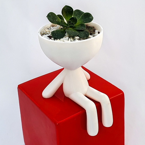 11 Macetas 3decofriendly Suculentas Cactus Robert Plant