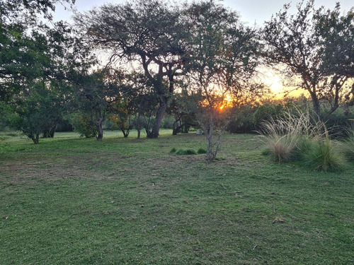 Vendo Lote En Carpinteria