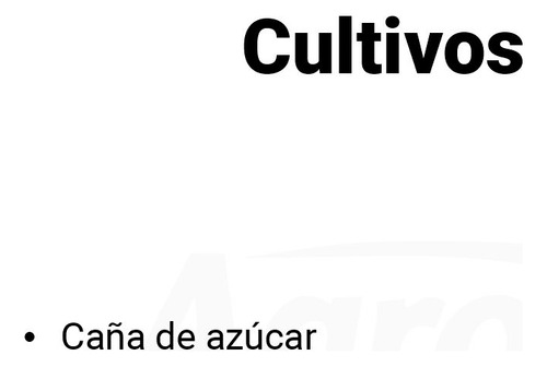 Insecticida Curbix 200 Sc De 1 Litro Bayer