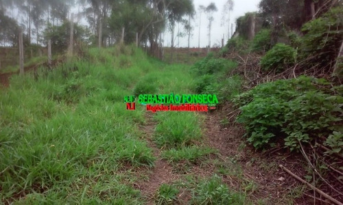 Chácara Plana Em Paraibuna - 996