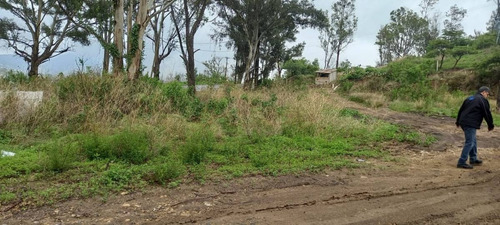Imagen 7 de 9 de Terreno En Venta A Pie De Carretera Tecomatepec, Ixtapan De La Sal, Edomex