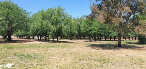 Imagen 8 de 27 de Venta Lotes Los Fresnos Barrio Cerrado Privado, Virrey Del Pino, La Matanza