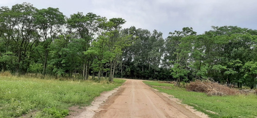Imagen 4 de 13 de Lotes Baldíos De 744 M2 En Cañuelas (ref: El Retiro)