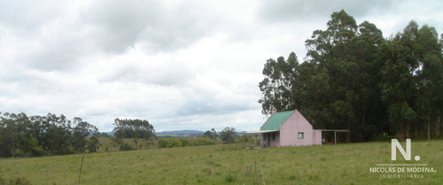 En Venta Enorme Terreno En Barrio Camino Eguzquiza