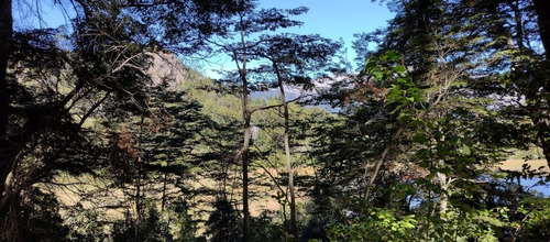 Imagen 10 de 14 de Venta En Bariloche Lote Sobre Costa Laguna Ezquerra Sector Lago Morenito Con Increíble Vista A Cerro López