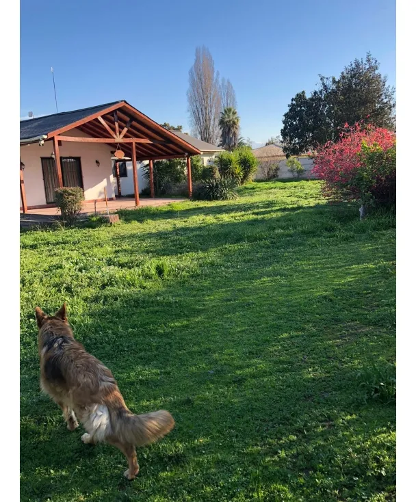 Imagen 2 de 17 de Se Vende Propiedad Ubicada En Paine