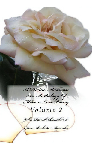 A Divine Madness, De John Patrick Boutilier. Editorial Createspace Independent Publishing Platform, Tapa Blanda En Inglés