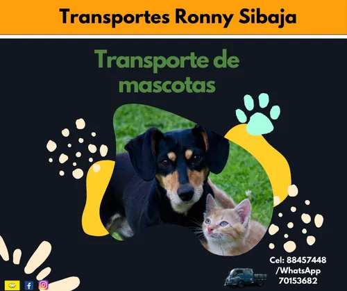 Servicio De Carga