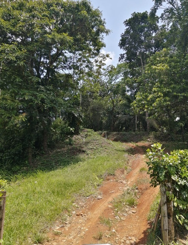 Imagen 3 de 9 de Finca Hermosa
