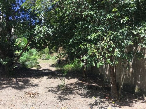 Imagen 4 de 16 de Vendo Terreno 15000m2 La Guaira Chuspa 4533