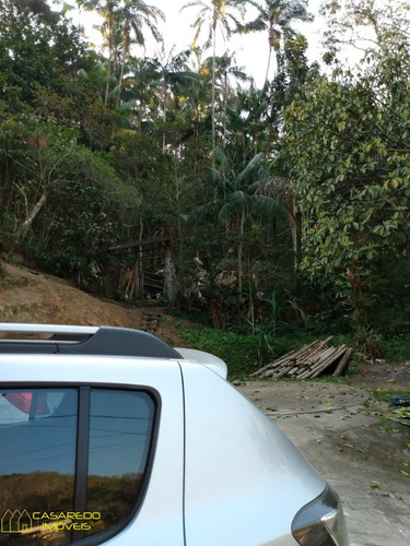 Imagem 13 de 13 de Ótimo Sítio Na Taquara! - Ci2095