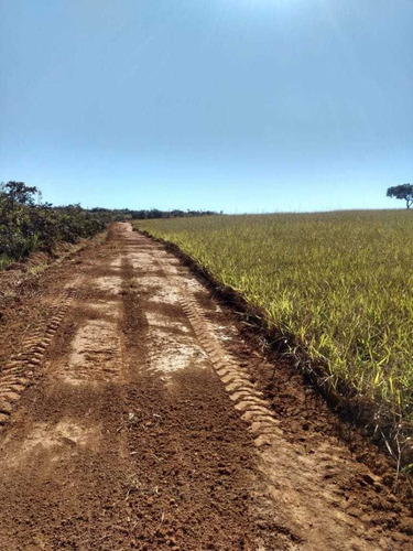 Chacreamento Ouro De Minas