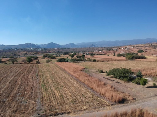 Terreno En Venta Morelos