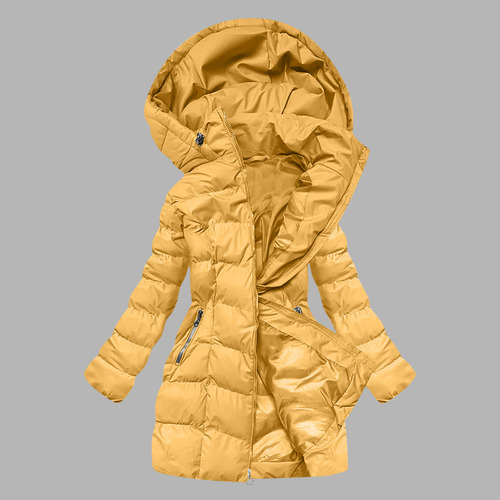 Jaqueta De Inverno, Moda Feminina, Alongada, Espessada, Cria