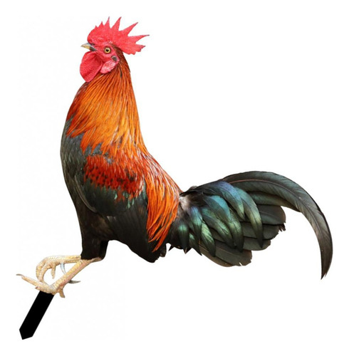 Mz Estacas De Jardín Con Estatua De Animales De Gallo,