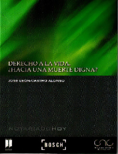 Derecho A La Vida ¿hacia Una Muerte Digna?, De José León Castro Alonso. 8497908795, Vol. 1. Editorial Editorial Promolibro, Tapa Blanda, Edición 2011 En Español, 2011