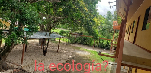 Imagen 2 de 7 de Se Alquila Apartamentos