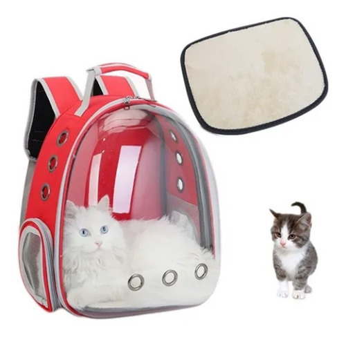 Imagen 4 de 8 de Mochila Bolso Mascotas Gato Perro Transparente Super Visión