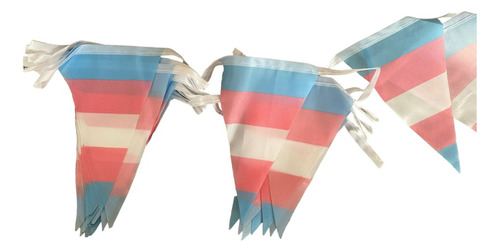 Banderas Transgenero Lgbt Triangulares Banderines