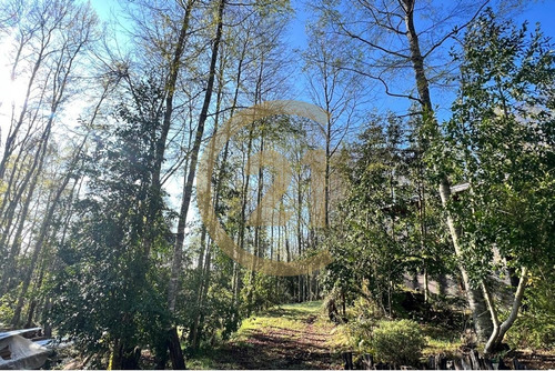 Conjunto De 4 Cabaña A 10 Min De Villarrica Relun